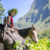 Balade à cheval à Moorea - Ranch Opunohu Valley